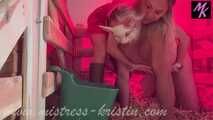 Clip #002 Handfütterung mit Trog