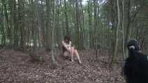 Ayu tree tied 2/2