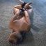 Lena's Painful Rope Treatment On The Carpeted Floor