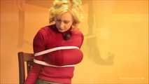 Red Sweater Bound