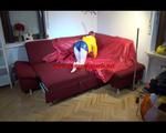 Sonja preparing her sofa with a special shiny nylon cloth wearing a supersexy selfmade shiny nylon shorts in darkblue/purple and a yellow rain jacket (Video)