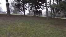 119007 Donna-Jo Pees Down The Park Steps