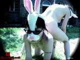 Bunny Babes