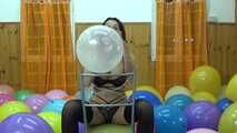 sophie 35