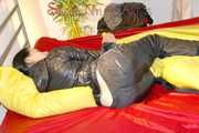 Lucy preparing her bed and enjoys it wearing sexy black rainwear (Pics)