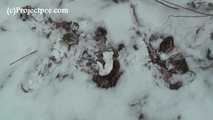 020168 Kathy Melts The Snow With Hot Pee