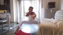 norma 17
