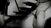 CUCKOLD  DIE STRAFE