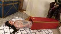A Women In Black Christmas - The Complete Story - Angelina Moon