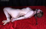 Amanda hogtied and gagged