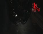 Thank you for your loyalty clips dollars only 1 per clip