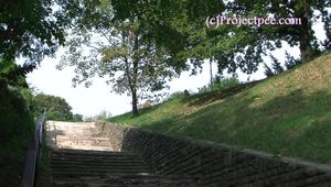 050010 Roxy Hurries Down The Park Steps To Pee 