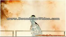 BoundCon XI - Custom Photo Shooting 12 - Part 2