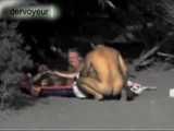HIDDEN CAM AND FUCKING COUPLES