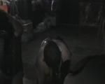 Dankeschön Clips für eure Treue nur 1 Dollar pro Clips