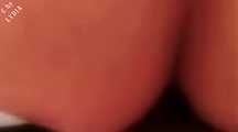 PIGGY HORNY