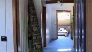 ab-138 The Trapp (1)