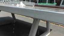 068025 Ling Pees On The Table Tennis Table