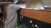 118023 Naughty Cynthia Pees In The Fish Tank 