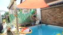 Fun in the pool
