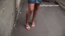 050040 Roxy Takes A Naughty Pee In The Entrance To An Apartment Block