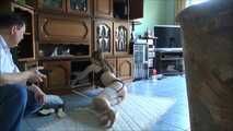 Cindy - The Fake Insurance Agent 3 Part 3 of 6