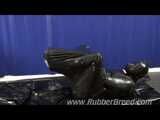 Gummihund in Gummiball