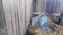This is what happens to the groom when he disobeys