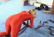 ab-077 - Lycra Girls in Bondage (2)