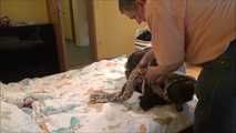 Eden - Home Assault Part 4 of 8