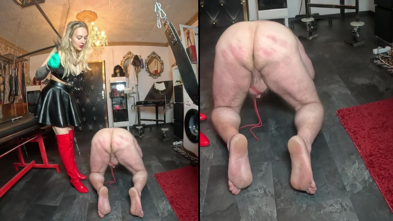 Your testicles must endure suffering for your mistress!