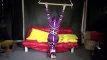 Watching sexy Sonja wearing a supersexy purple shiny nylon rainwear combination being tied and gagged overhead with ropes and a clothgag (Video)