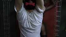 Mistress Zita - Ballbusting