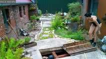 Gefangen im Wasserloch 