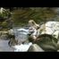 Sophie enjoying the water and weather on a river wearing supersexy grey sauna pvc rainwear (Video)