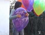 dany 227
