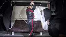 Pia wearing a sexy black downwear tied and gagged overhead with ropes(Video)