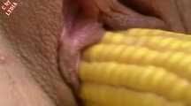 2 FICKERS AND 1 CORN