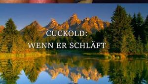 CUCKOLD WITHOUT NOTHING
