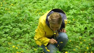 Friesennerz and rubber in the woods (14:29 min)