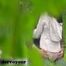 HIDDEN CAM AND FUCKING COUPLES