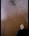 Sitting around and cuffed