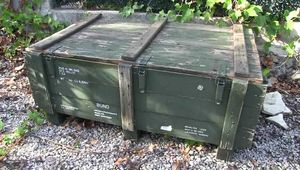 Afsana in the Slave Transport Box