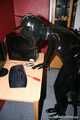 PC Dog