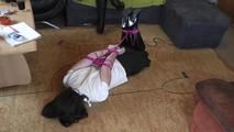 Susan gets bound with pink ropes 2/2 