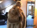 Anja, the fur slave 1