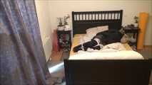 Melody - robbery in the apartment part 3 of 6