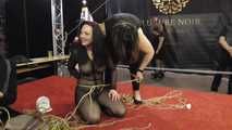 Diamondly live from BoundCon