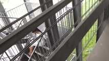 Stella roped hard on stairs 1/2