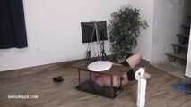 Miss Amy Douxxx pees on the toliett box 